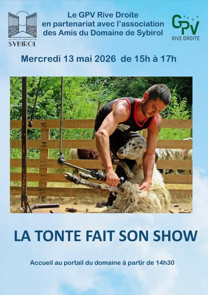 La tonte fait son show